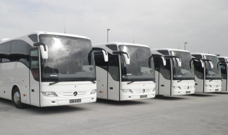 Malta region: Bus company in Żurrieq in Żurrieq and Malta