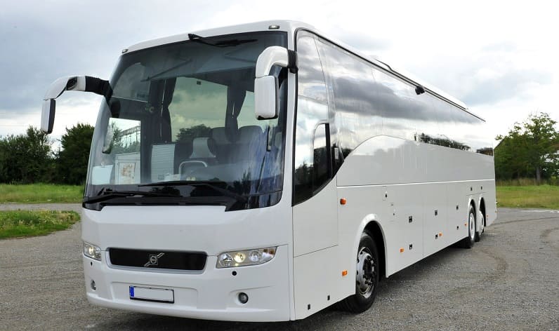 Italy: Buses agency in Sicily in Sicily and Bagheria